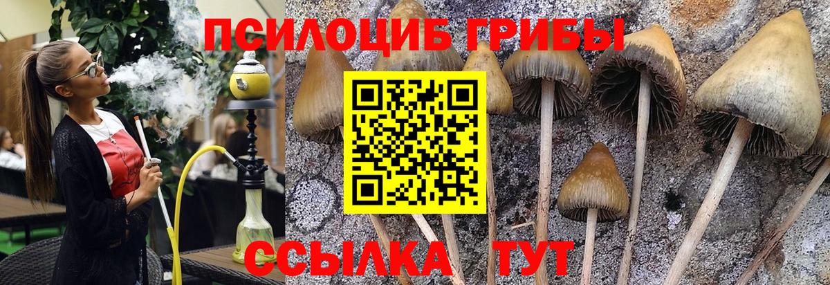 Псилоцибиновые грибы Magic Shrooms Дзержинский